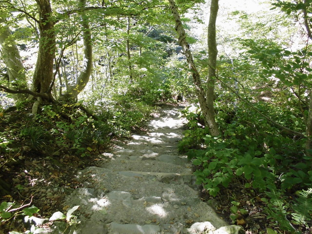daisen127.jpg