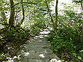 daisen127_thumb.png