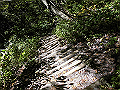 daisen128_thumb.png