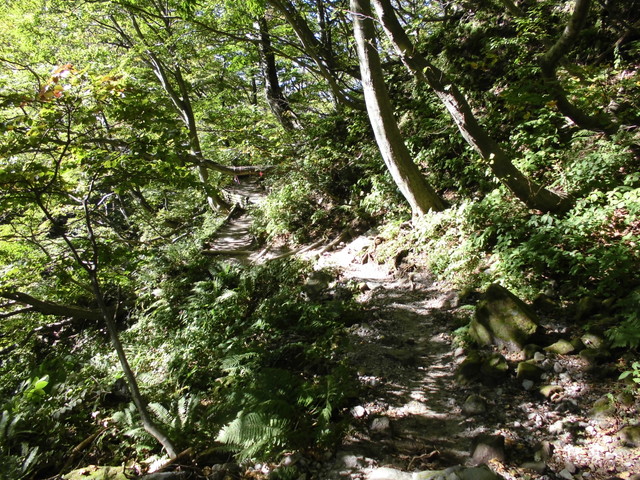 daisen129.jpg