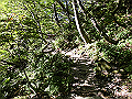 daisen129_thumb.png