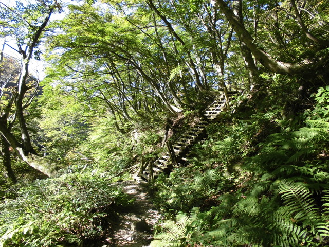 daisen130.jpg