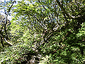daisen130_thumb.png
