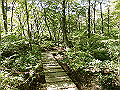 daisen131_thumb.png