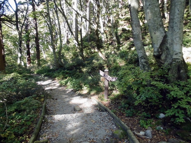 daisen132.jpg