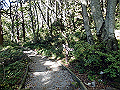 daisen132_thumb.png
