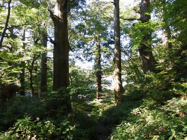 daisen133.jpg