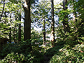daisen133_thumb.png