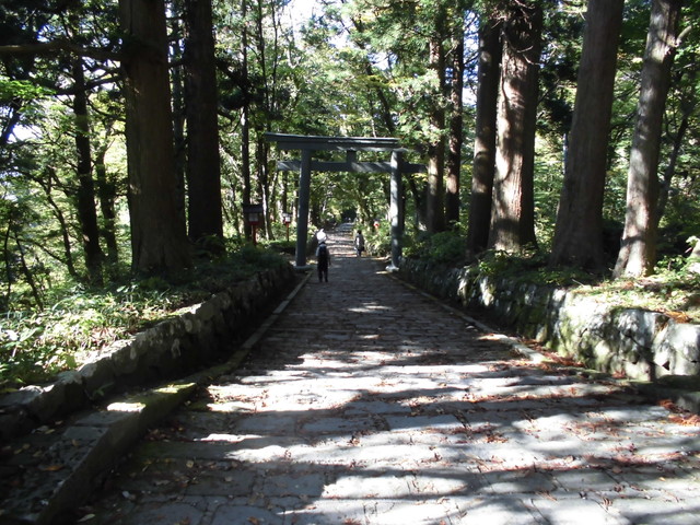 daisen137.jpg