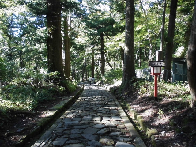 daisen138.jpg
