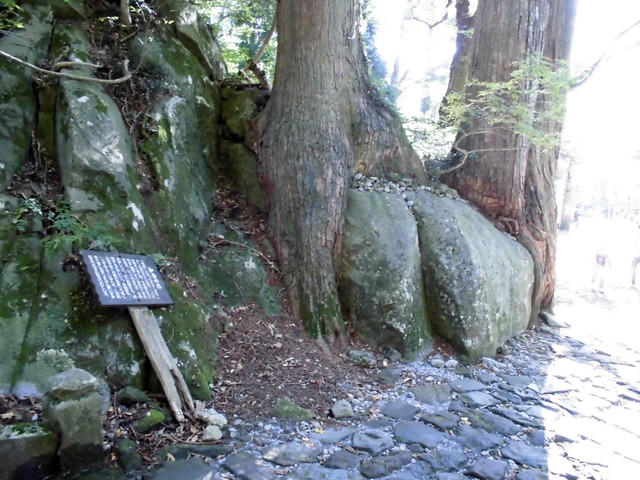 daisen139.jpg