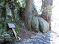 daisen139_thumb.png
