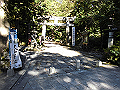 daisen140_thumb.png