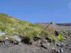 fuji12_thumb.png