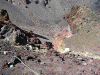 fuji26_thumb.png