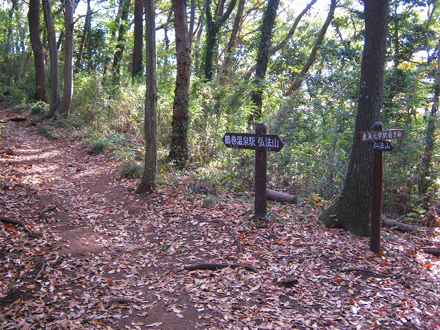gongen36.jpg