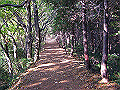 gongen45_thumb.png