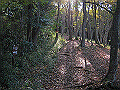 gongen62_thumb.png