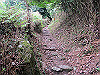 hiei053_thumb.jpg