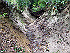 hiei057_thumb.jpg