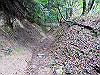 hiei060_thumb.jpg