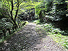hiei096_thumb.jpg