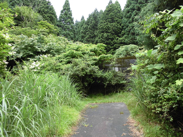 hourai008.jpg
