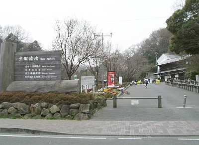 ikuta10.jpg