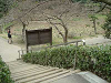 ikuta13_thumb.png