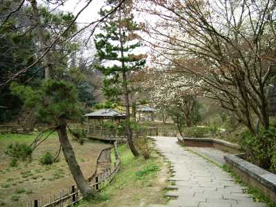 ikuta14.jpg