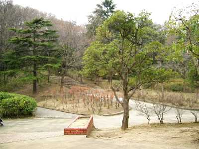 ikuta18.jpg
