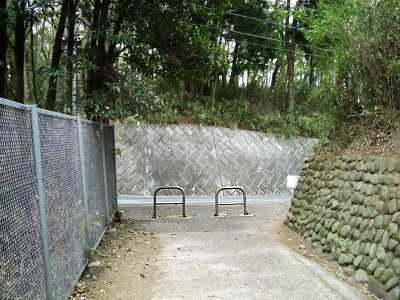 ikuta25.jpg
