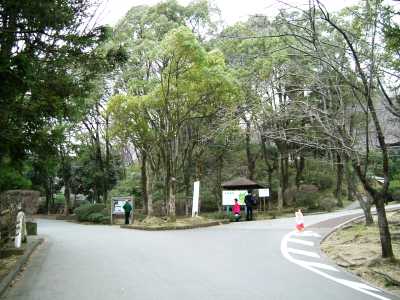 ikuta26.jpg