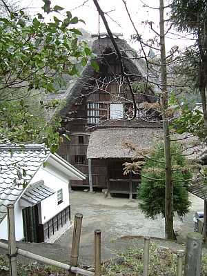 ikuta28.jpg