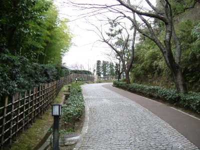 ikuta29.jpg