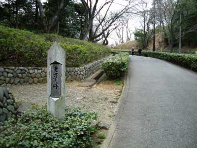 ikuta31.jpg