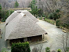 ikuta32_thumb.png