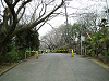 ikuta34_thumb.png