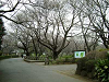 ikuta35_thumb.png