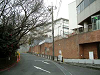 ikuta40_thumb.png