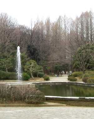 ikuta41.jpg