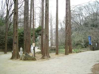ikuta42.jpg