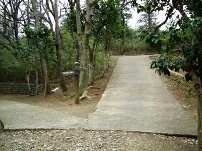 ikuta46.jpg