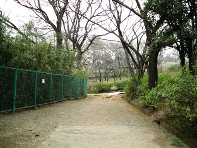 ikuta47.jpg