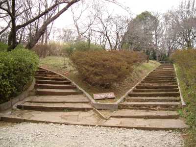 ikuta48.jpg
