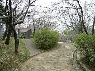 ikuta49.jpg