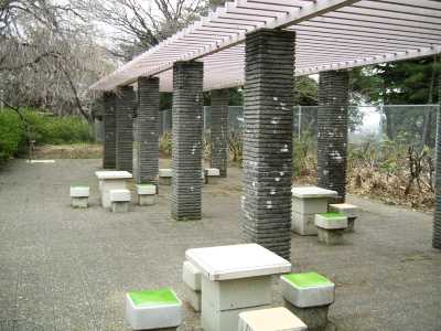 ikuta50.jpg