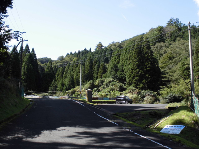 isanago01.jpg