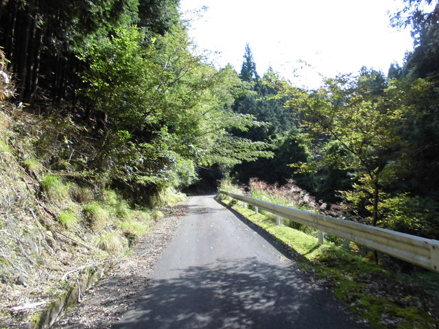 isanago09.jpg