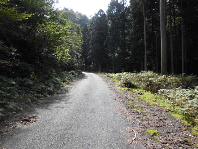 isanago10.jpg
